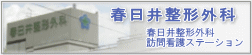 �t���䐮�`�O��